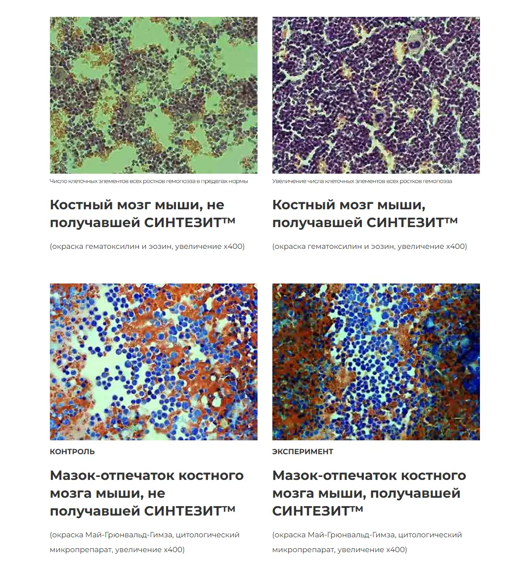 सिंथेसिट का वैज्ञानिक अनुसंधान